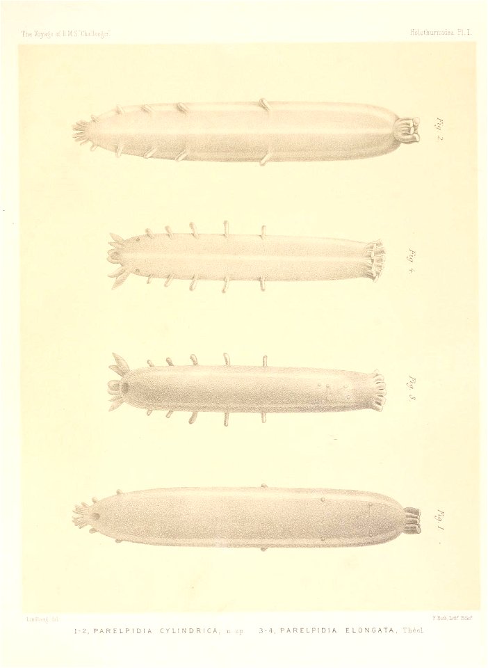 n680_w1150