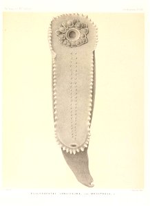 n738_w1150