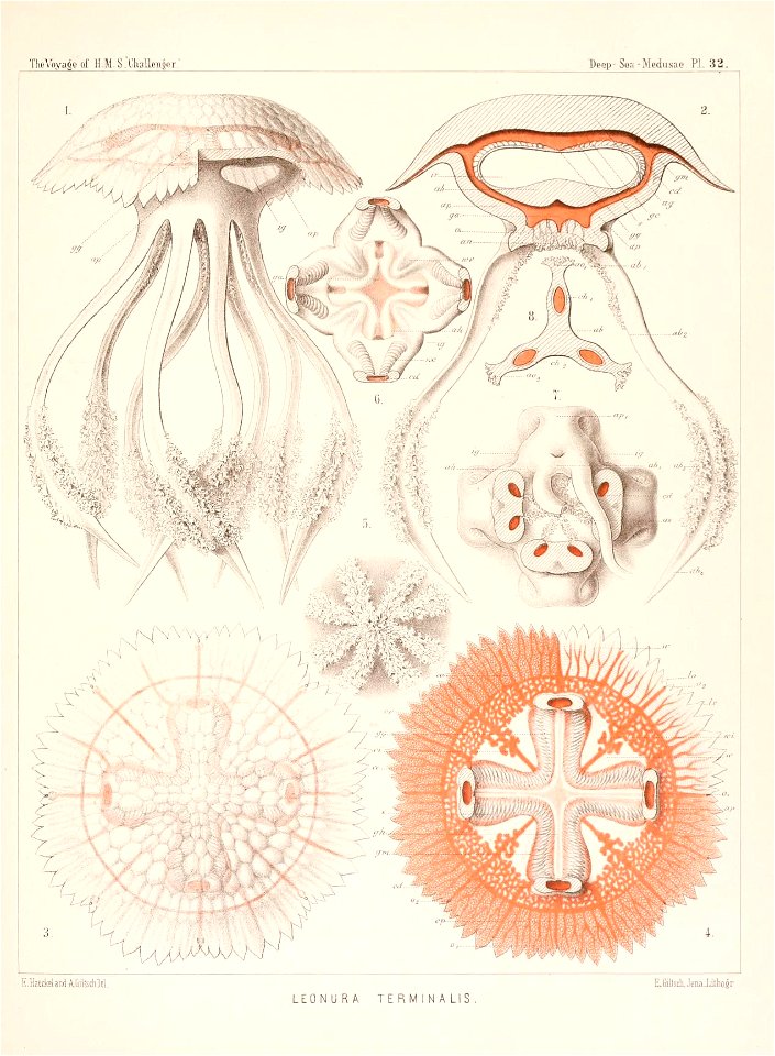 n502_w1150