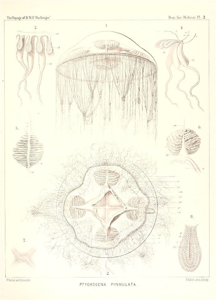 n382_w1150