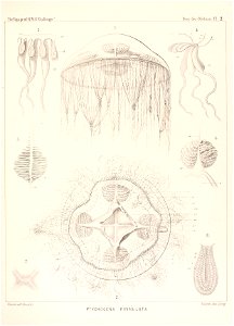 n382_w1150