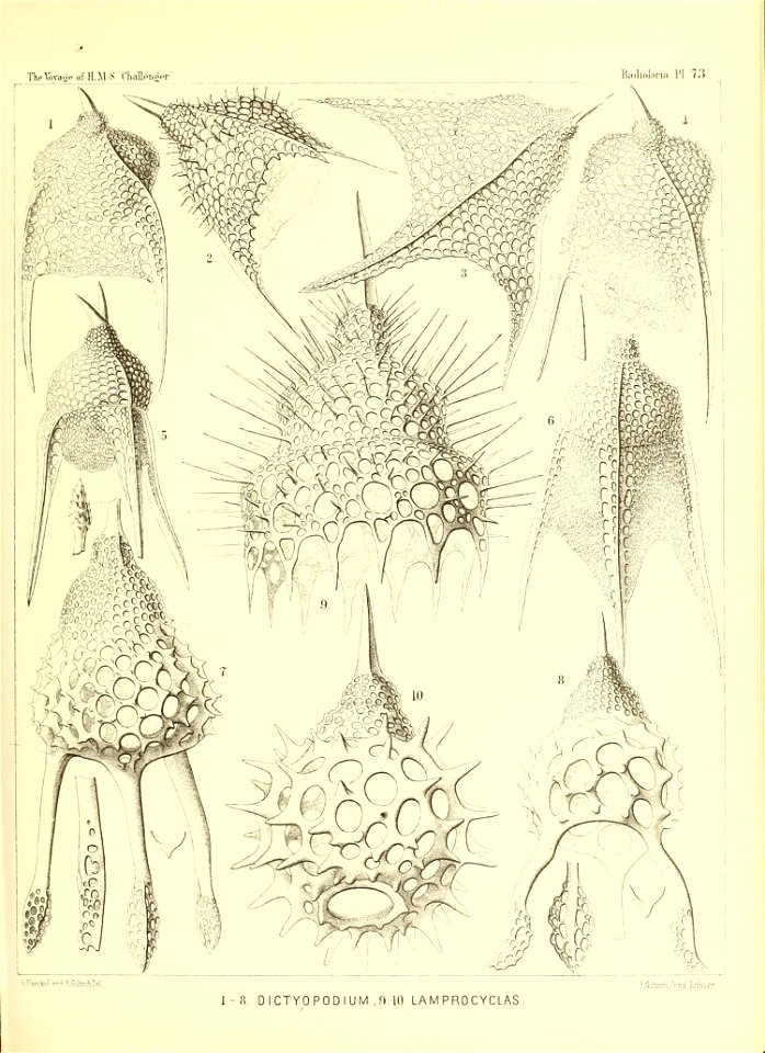 n302_w1150