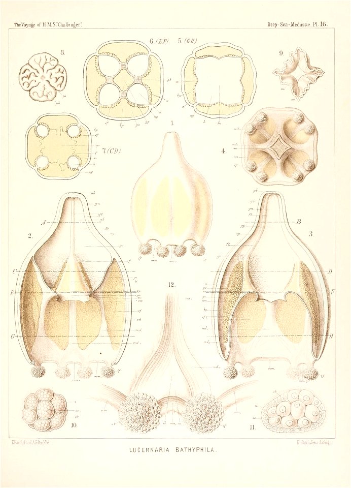 n438_w1150