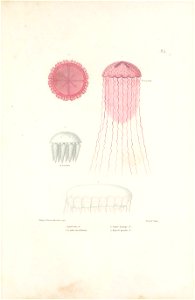 n174_w1150
