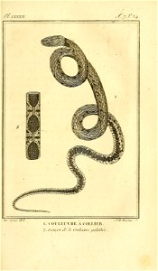 n44_w1150