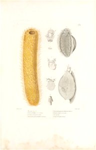 n154_w1150
