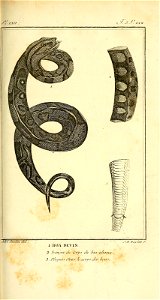 n154_w1150