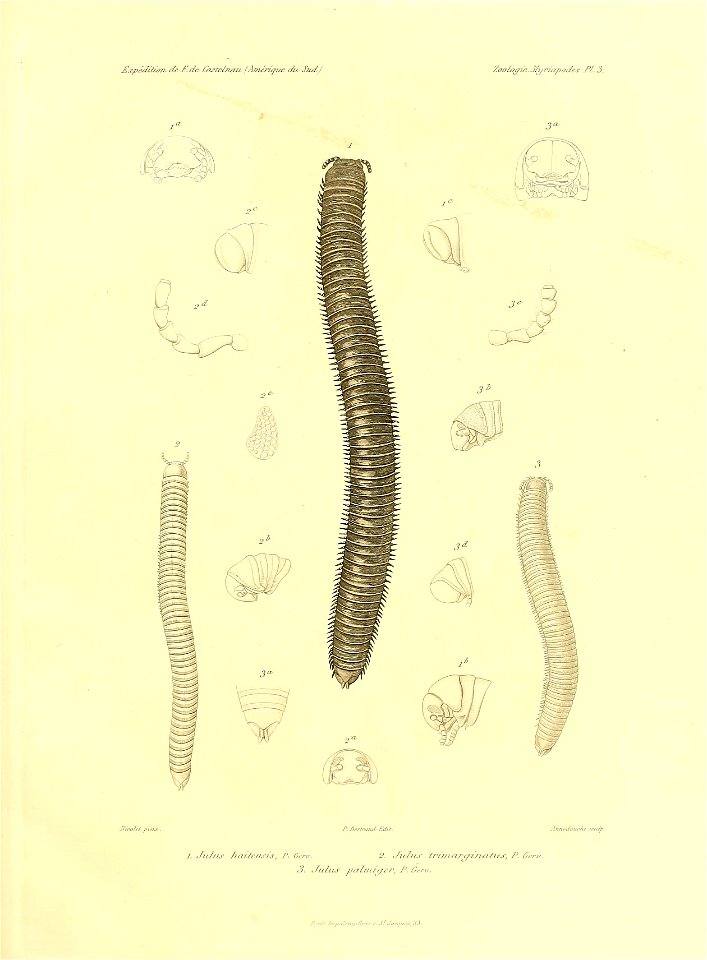 n62_w1150