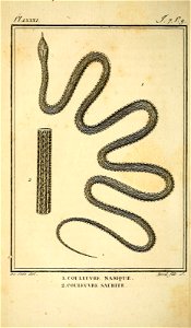 n17_w1150