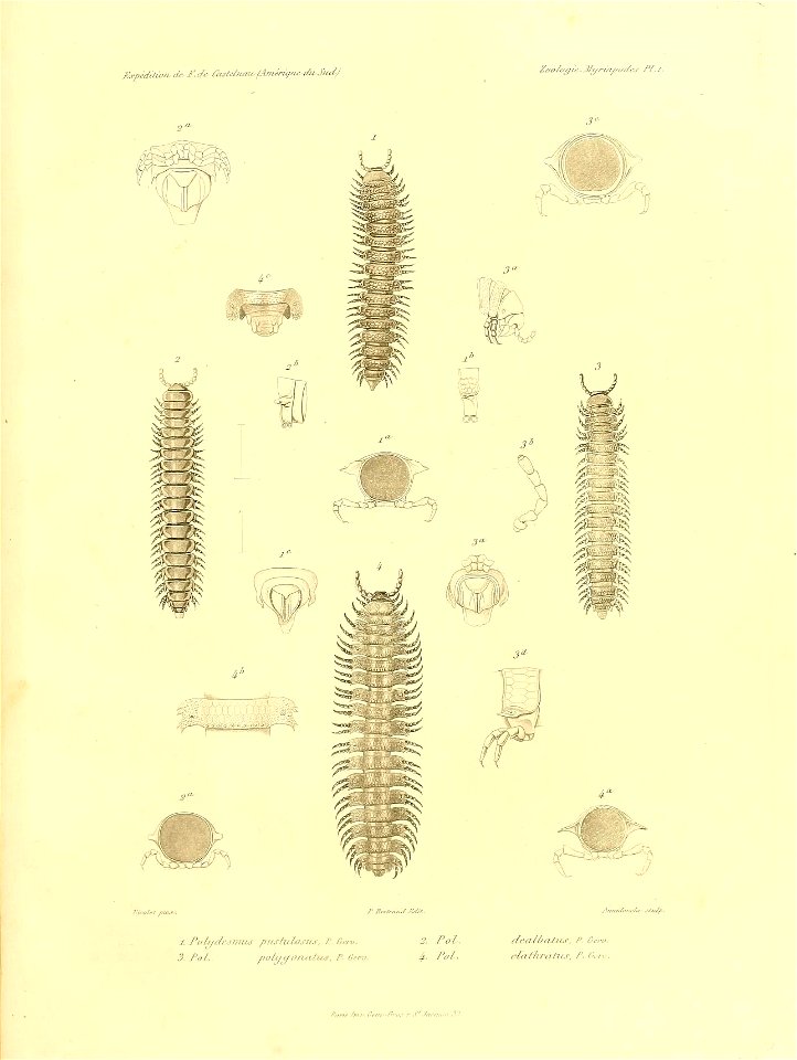 n58_w1150