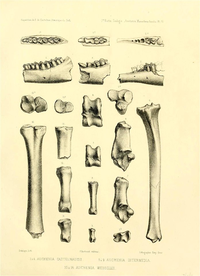 n132_w1150