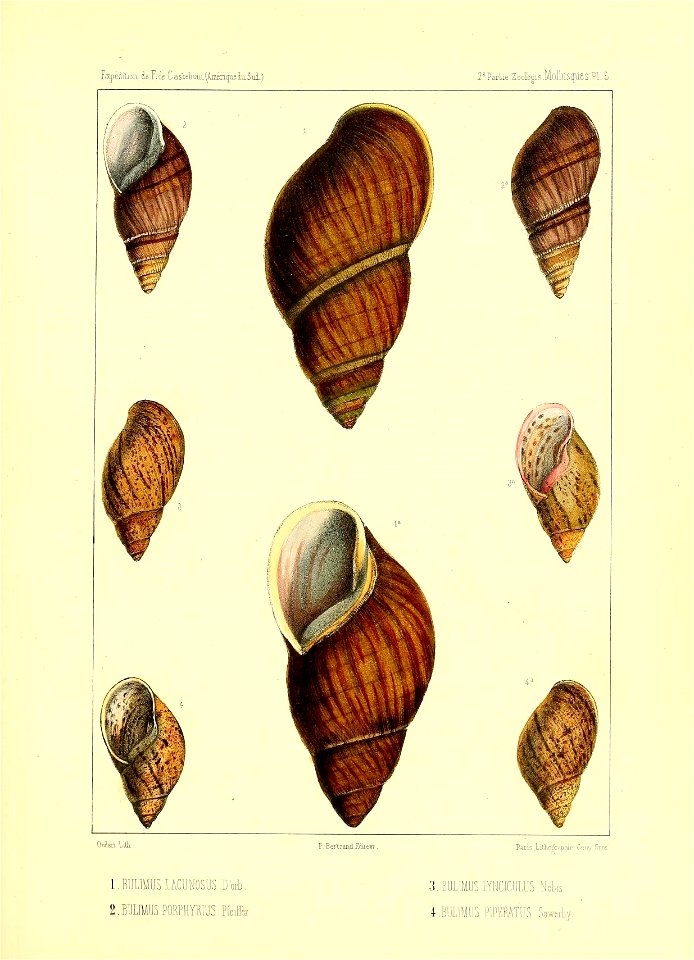 n192_w1150