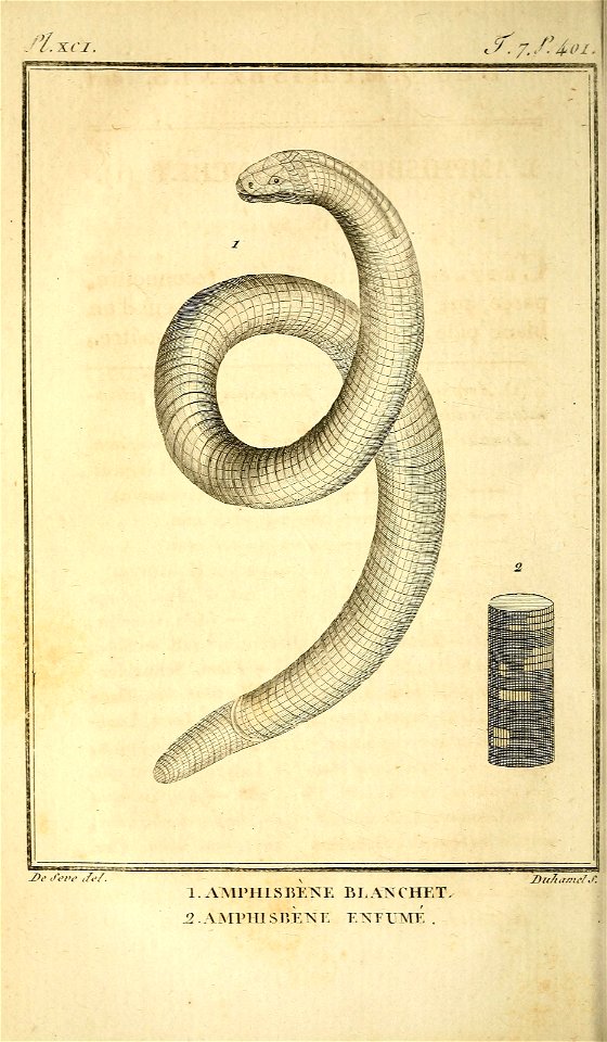 n429_w1150