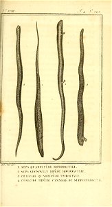 n372_w1150