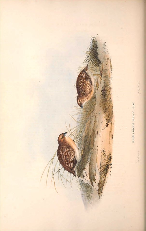 n355_w1150