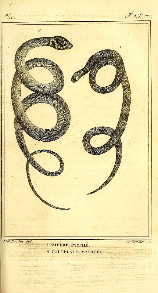 n342_w1150