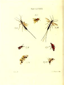 n171_w1150