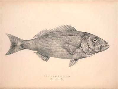 n89_w1150