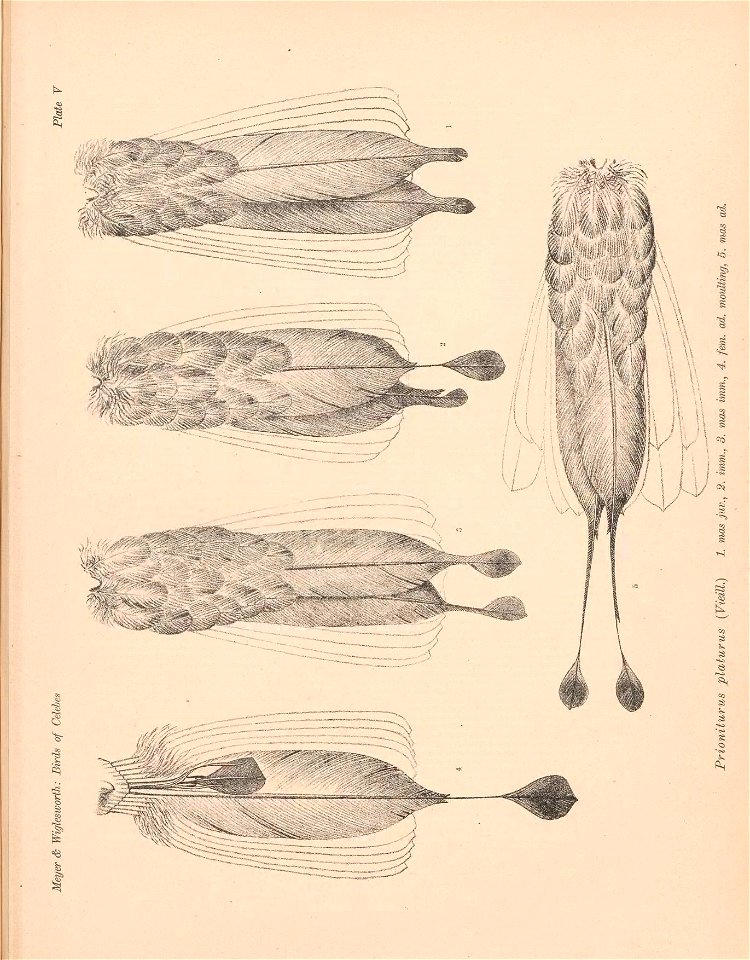 n588_w1150