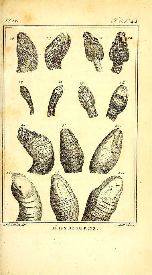 n58_w1150
