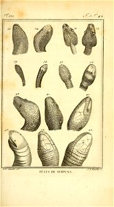 n58_w1150