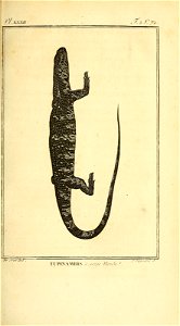 n86_w1150