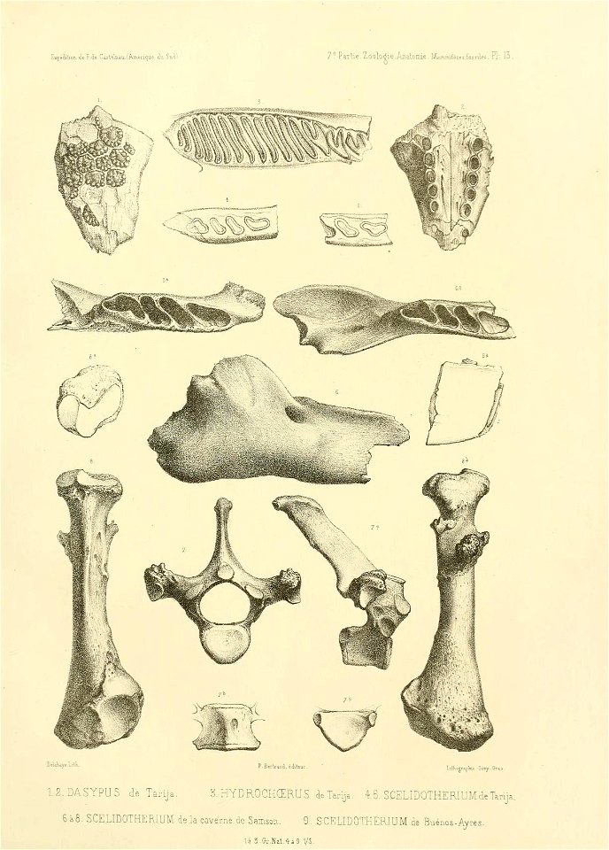n138_w1150
