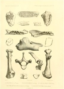 n138_w1150
