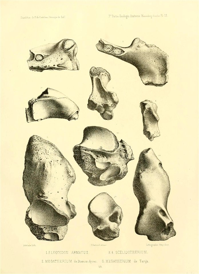 n136_w1150