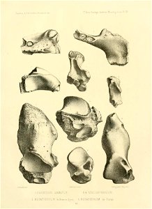 n136_w1150