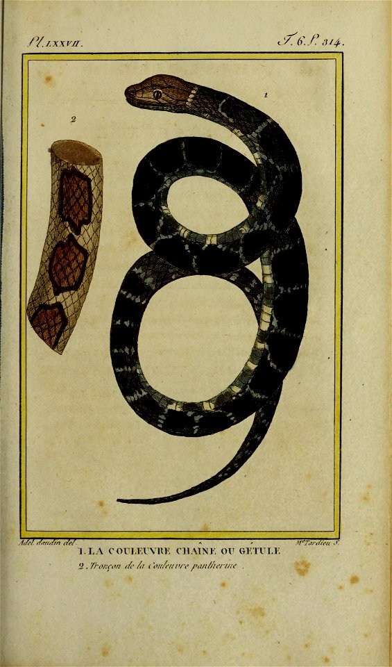 n332_w1150