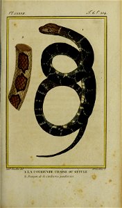 n332_w1150