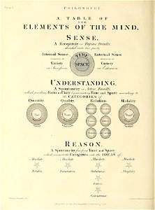 n169_w1150