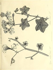 n548_w1150