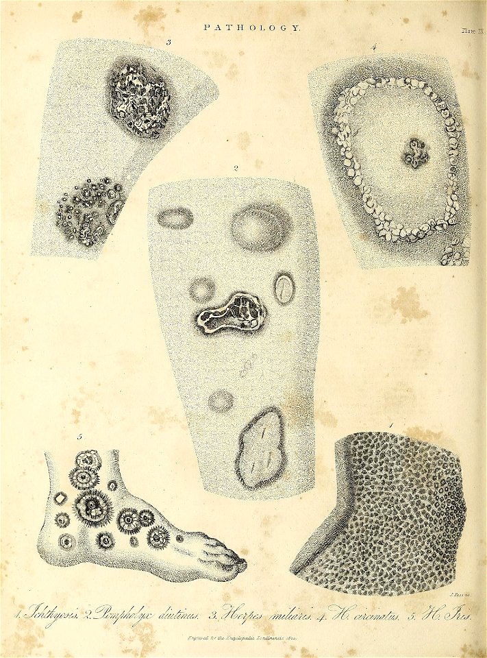 n383_w1150