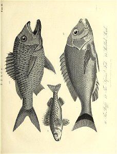 n672_w1150
