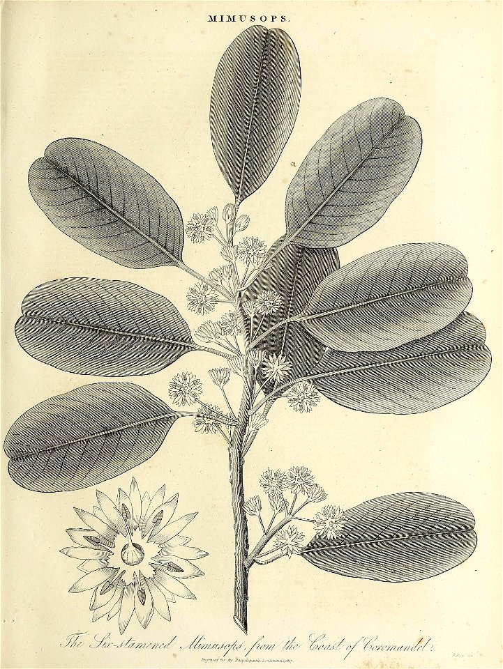 n496_w1150