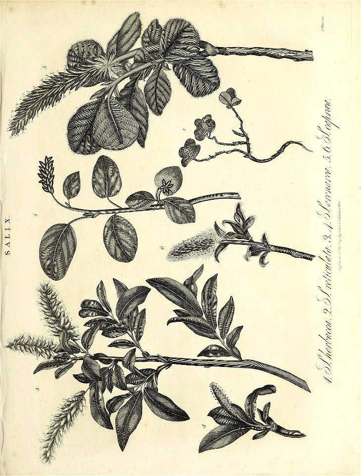 n658_w1150