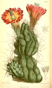 n137_w1150