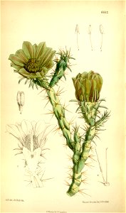 n159_w1150