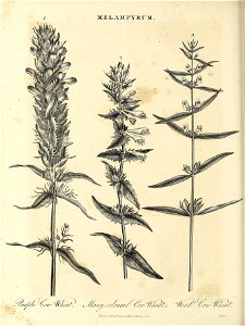 n57_w1150