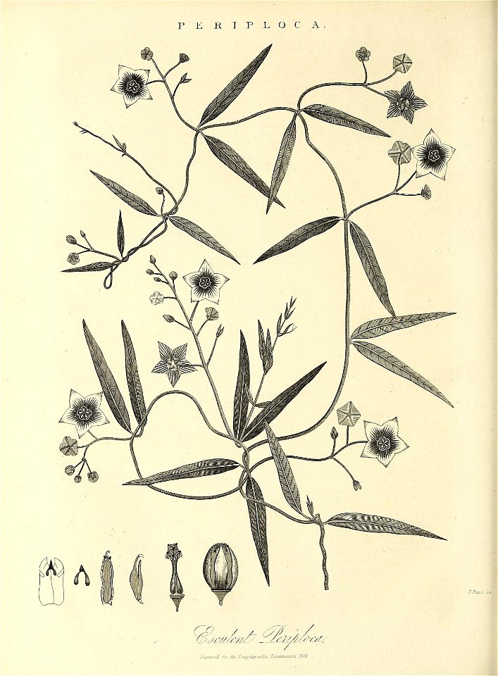 n713_w1150