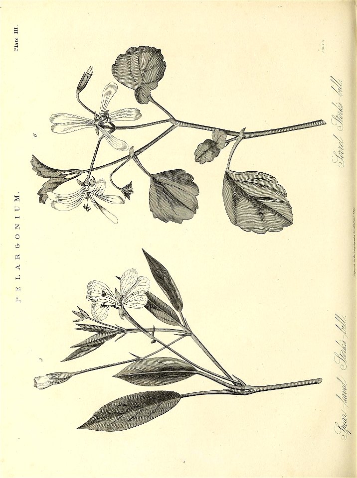 n551_w1150