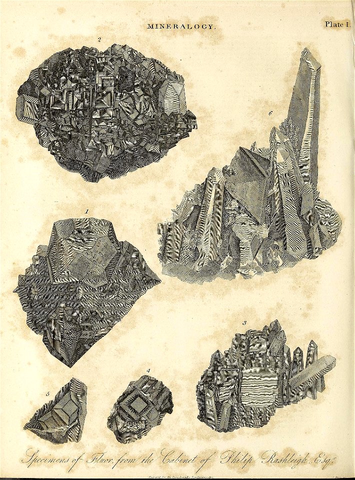 n529_w1150
