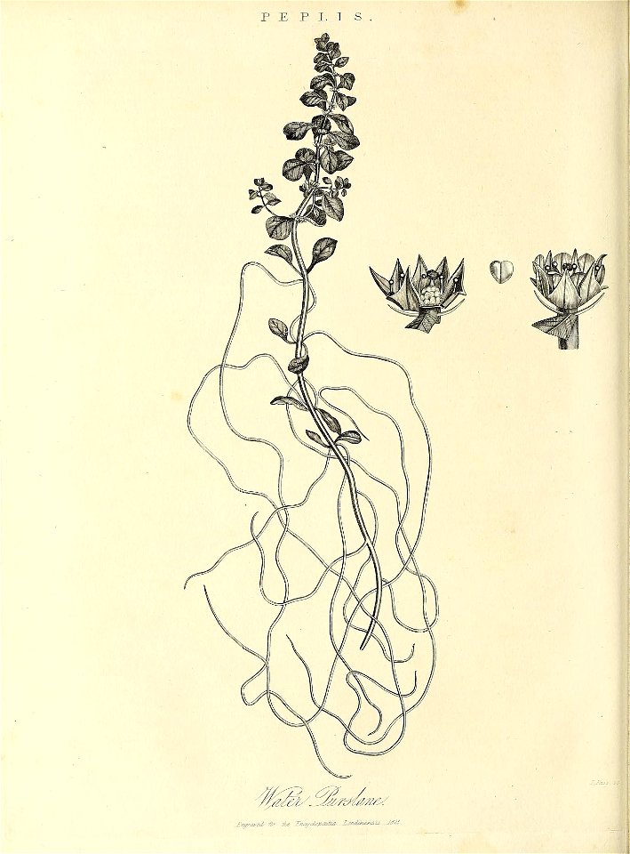 n653_w1150