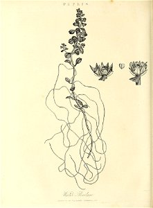 n653_w1150