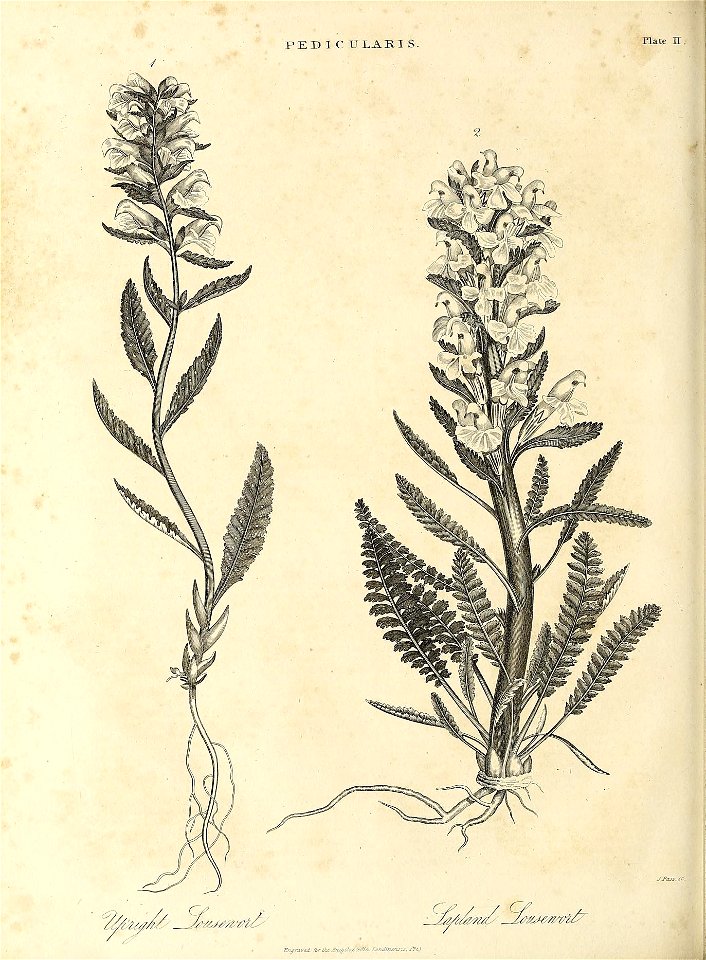 n503_w1150