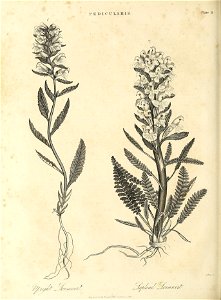 n503_w1150