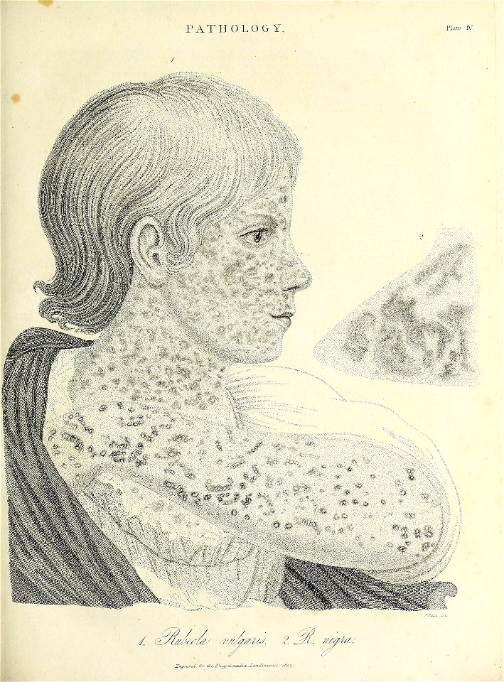 n292_w1150