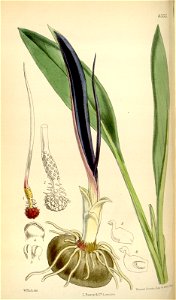 n57_w1150